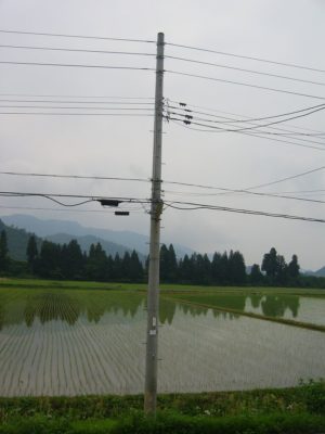 雨が止んで道が乾いています