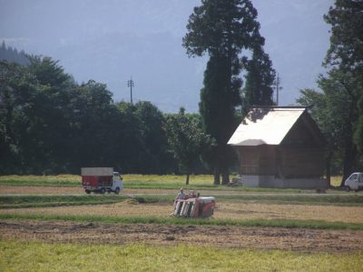 前の田んぼで魚沼産コシヒカリの稲刈り作業が行われています