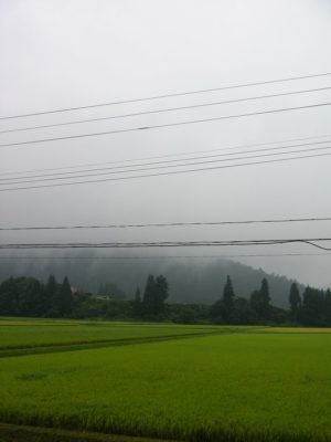 今日の新潟県南魚沼市は雨で気温が低いです