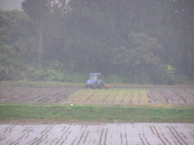 雨の中でのトラクター作業