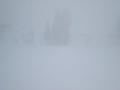 雨に煙る田んぼの雪景色