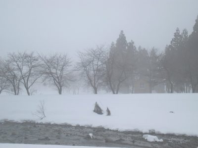 雨に煙る水無川の雪景色